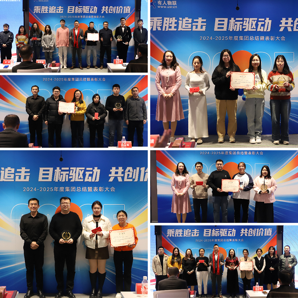 有人物聯(lián)網(wǎng)2024年度優(yōu)秀團隊
